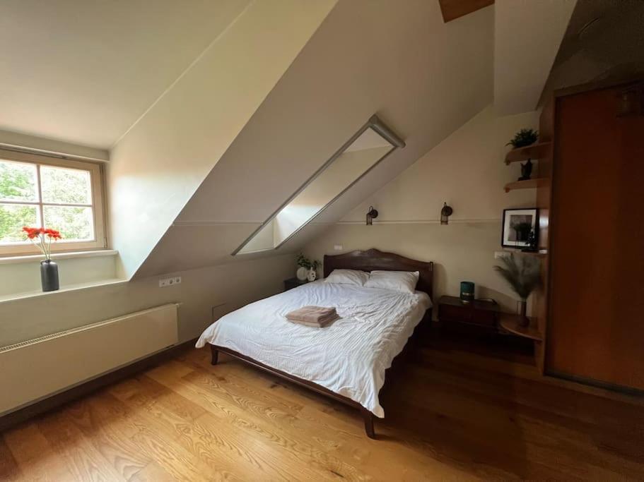 Old Town Apartment With Free Parking Vilnius Exterior foto